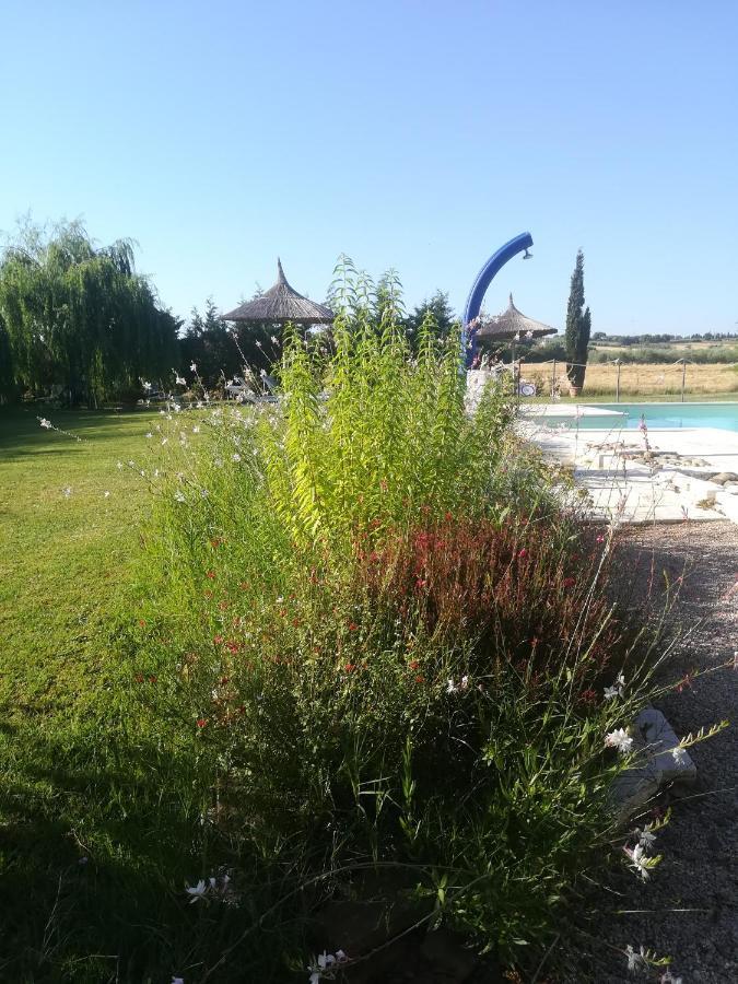 Agriturismo Dolce Verde Castiglione del Lago Exterior photo